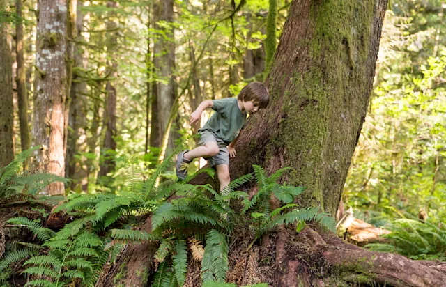 Homeschool students moving through the forest