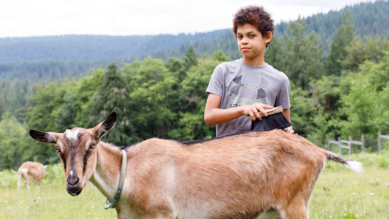 Spring break camps in the Seattle area for Grades K-9
